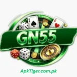 Apktige-GN55 F image