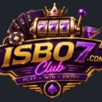 isb07-FI