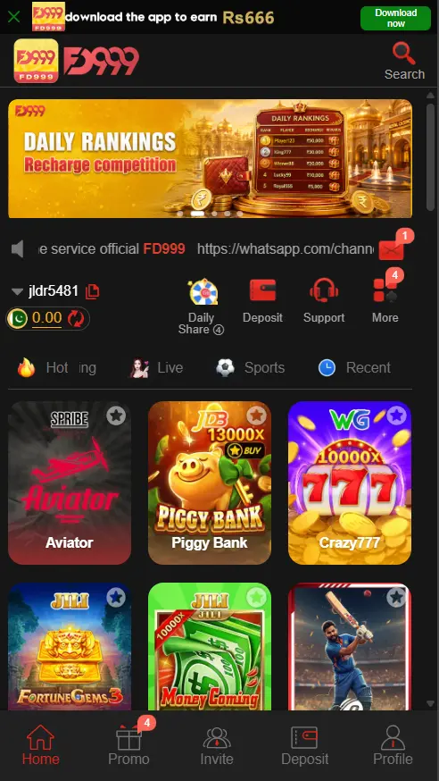 FD999-Game